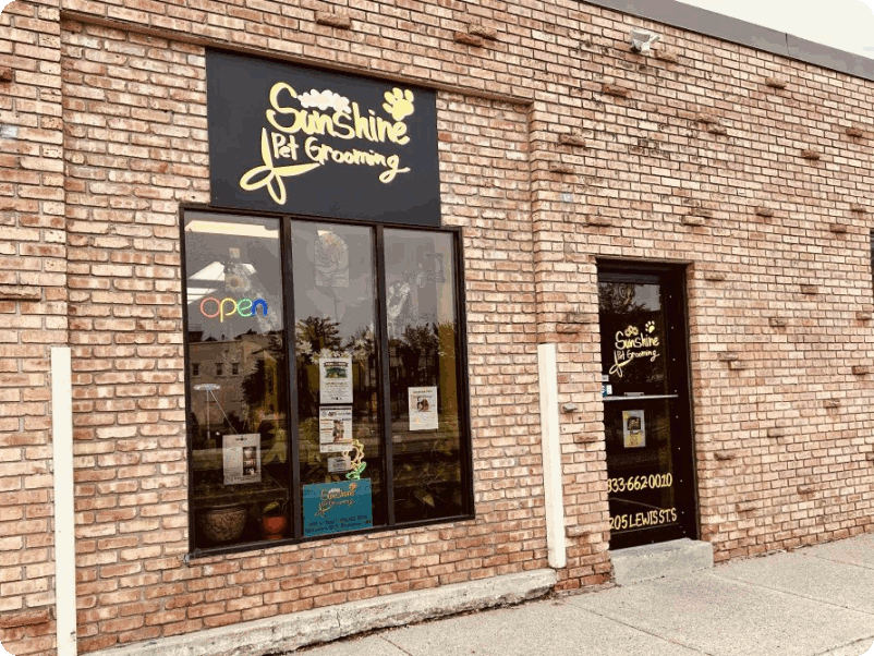 Freshly groomed happy dog